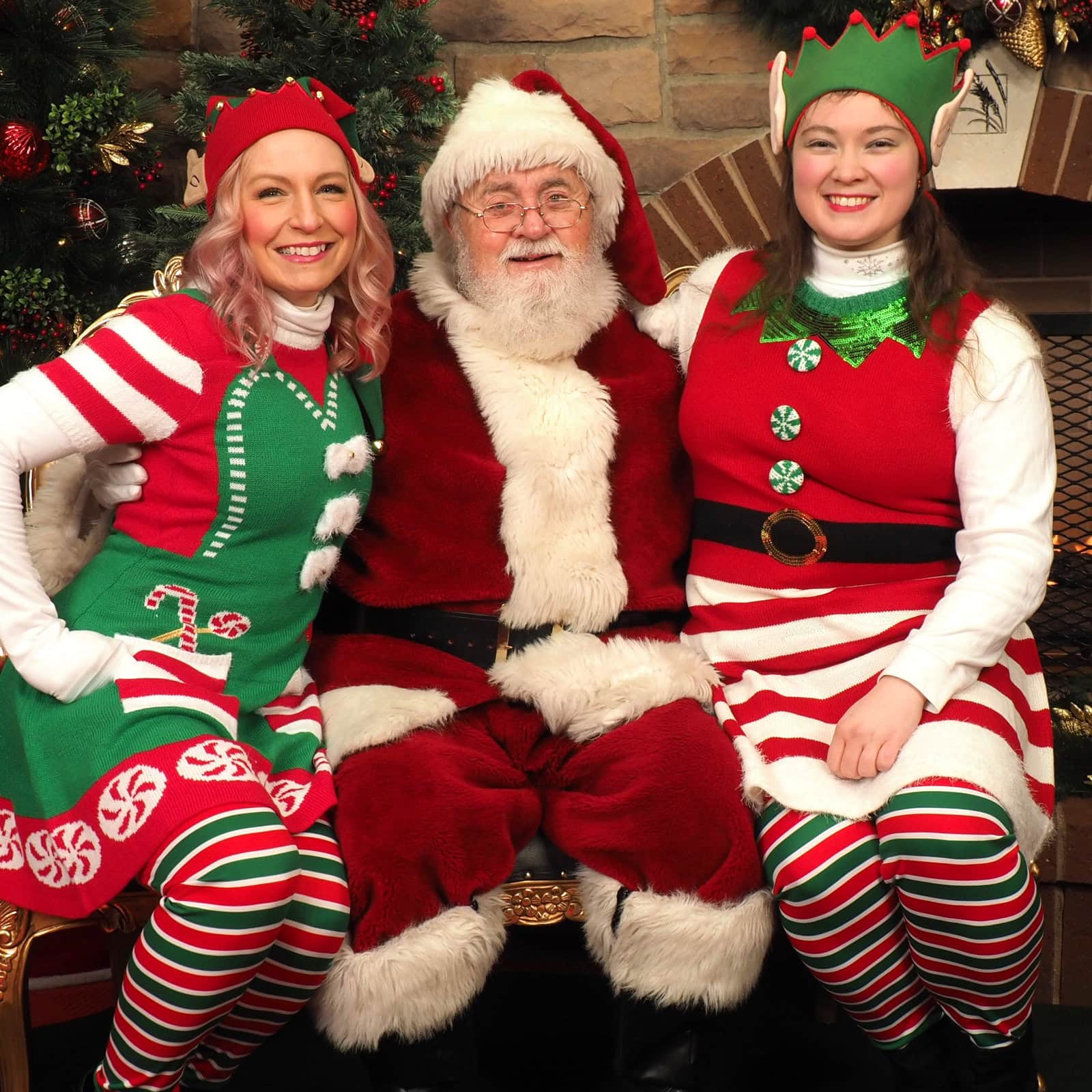 Hire Santa and Elves